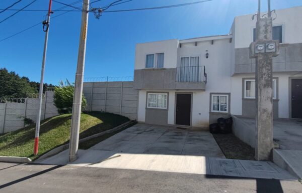 WhatsApp Image 2025-01-09 at 8.50.02 AM