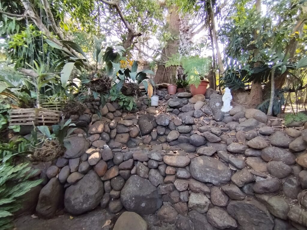 WhatsApp Image 2025-05-18 at 12.47.47 PM (1)