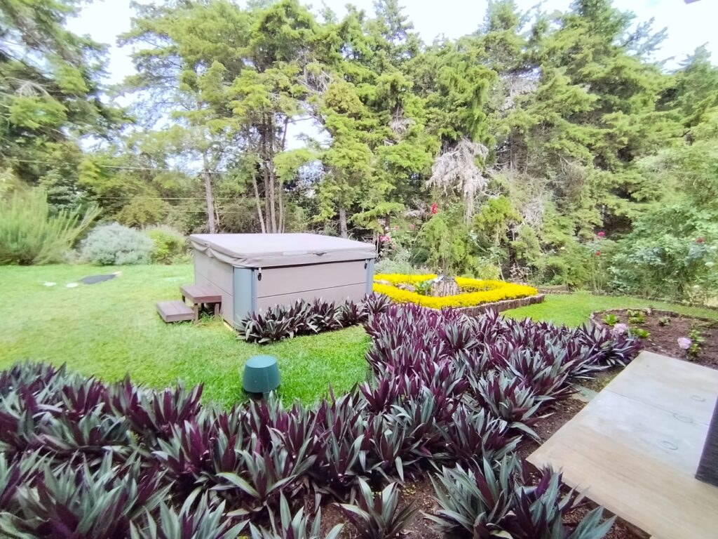 WhatsApp Image 2025-05-18 at 3.31.29 PM (2)