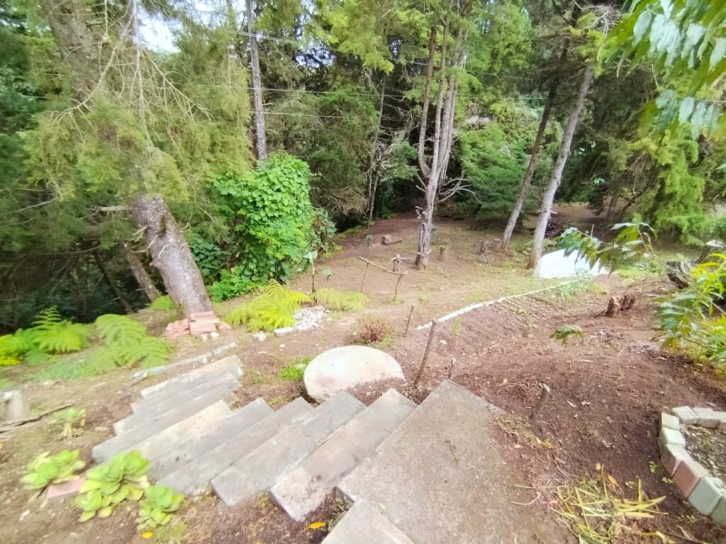 WhatsApp Image 2025-05-18 at 3.31.30 PM