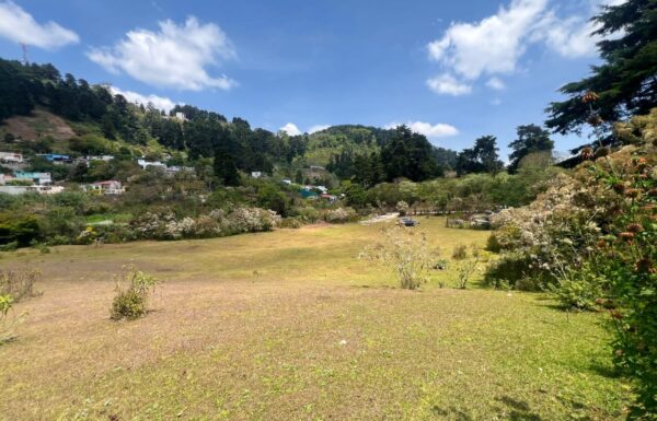 WhatsApp Image 2025-06-02 at 5.15.30 PM (2)