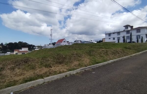 WhatsApp Image 2025-06-12 at 9.13.57 PM