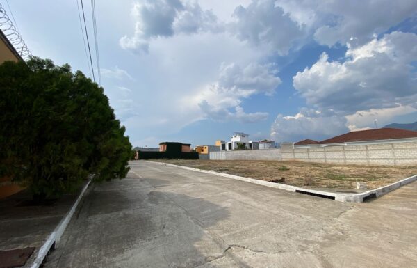 WhatsApp Image 2025-07-12 at 12.39.45 PM