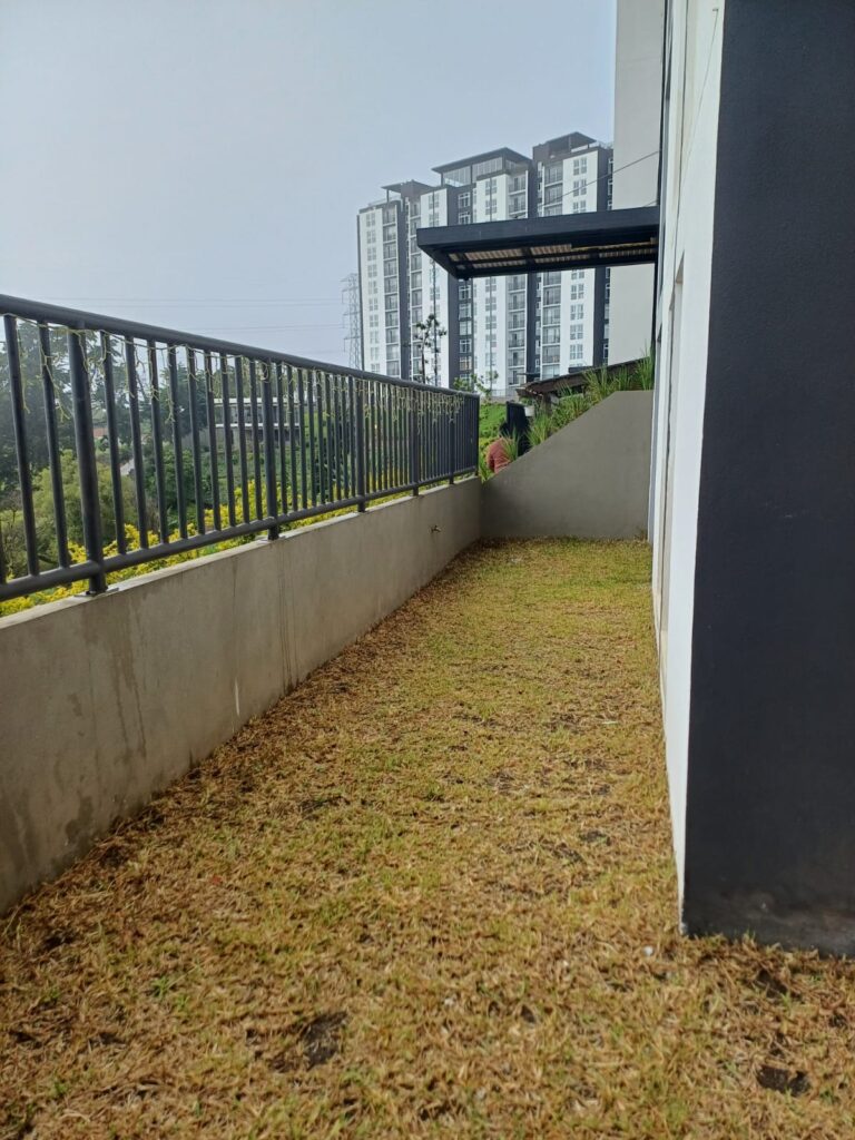 WhatsApp Image 2025-07-25 at 4.22.09 PM