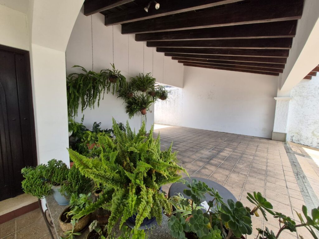 WhatsApp Image 2025-07-25 at 4.24.53 PM (1)