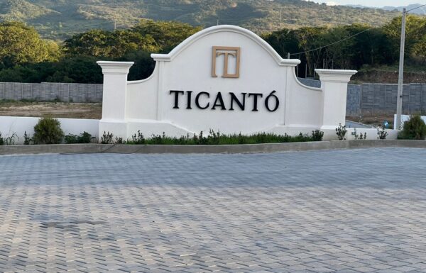 WhatsApp Image 2025-07-29 at 4.46.28 PM