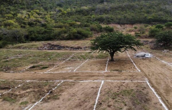 WhatsApp Image 2025-07-29 at 5.12.53 PM (2)