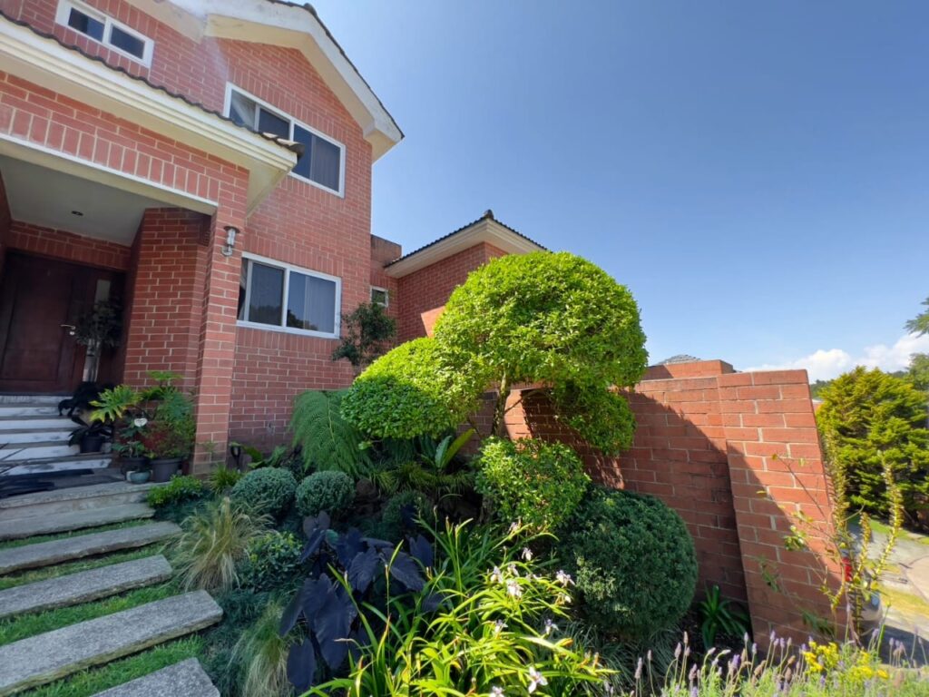 WhatsApp Image 2025-07-30 at 12.27.40 PM