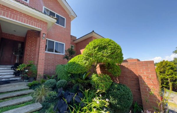 WhatsApp Image 2025-07-30 at 12.27.40 PM