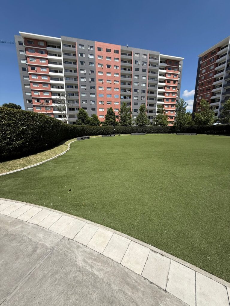 WhatsApp Image 2025-09-09 at 10.44.39 AM