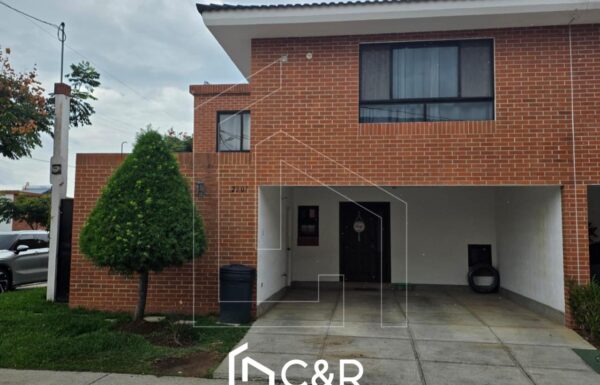 WhatsApp Image 2025-09-10 at 11.38.58 AM