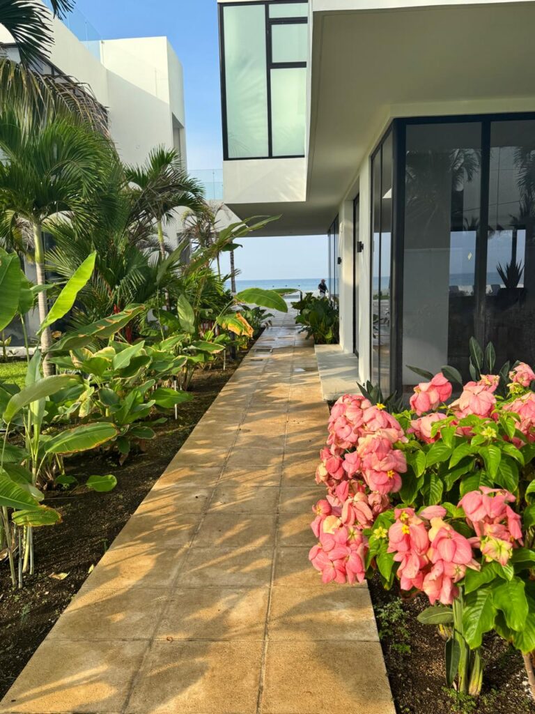 WhatsApp Image 2026-01-09 at 12.09.41 (4)