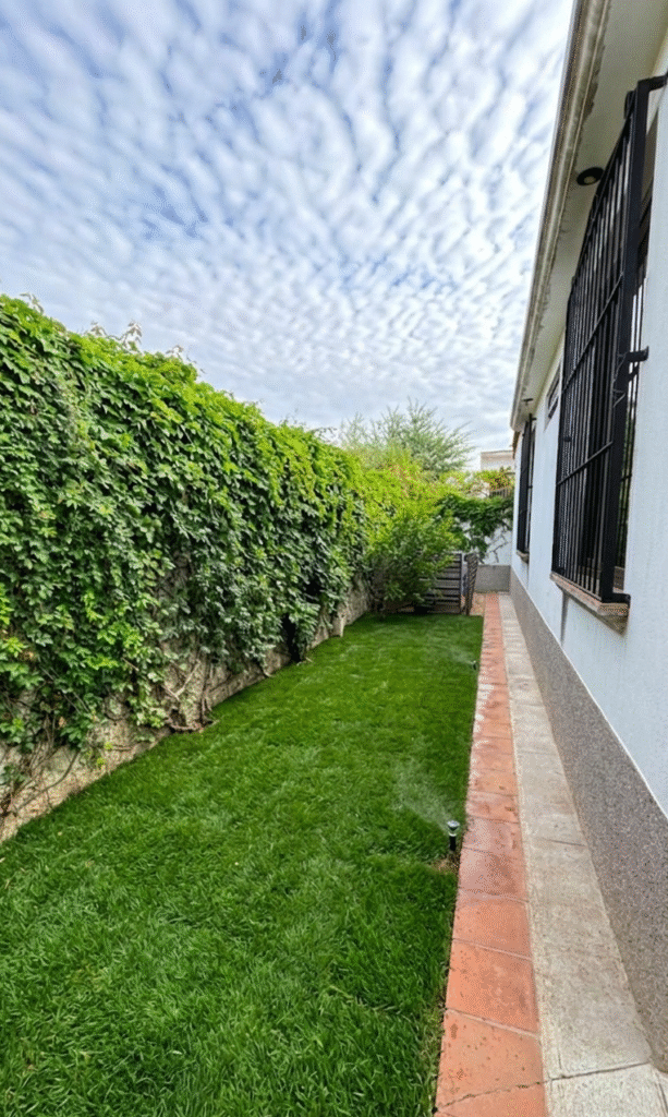 Gemini_Generated_Image_zdsr8xzdsr8xzdsr