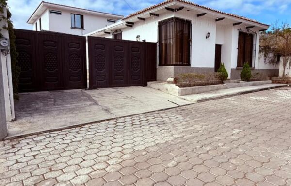 WhatsApp Image 2026-01-30 at 3.24.27 PM (1)