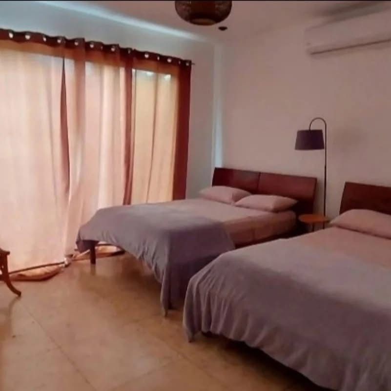 WhatsApp Image 2026-03-11 at 18.20.01 (1)