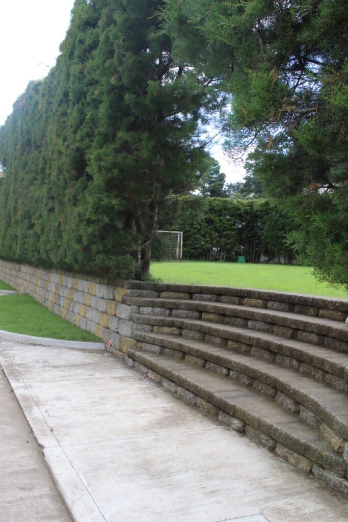 WhatsApp Image 2026-03-11 at 18.22.19 (1)