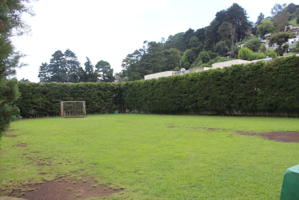 WhatsApp Image 2026-03-11 at 18.22.19